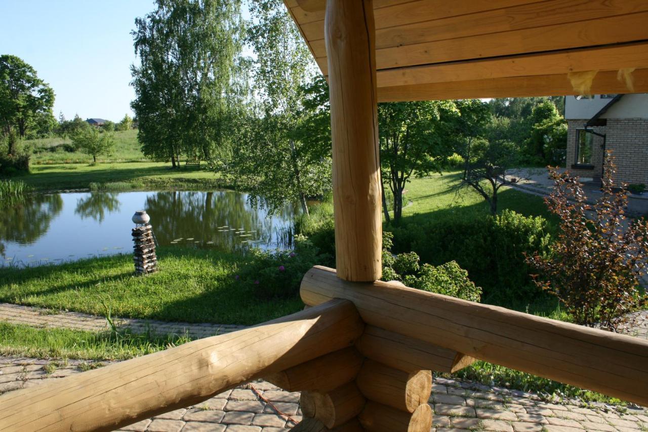 Dikisi Villa Daugavpils Ngoại thất bức ảnh