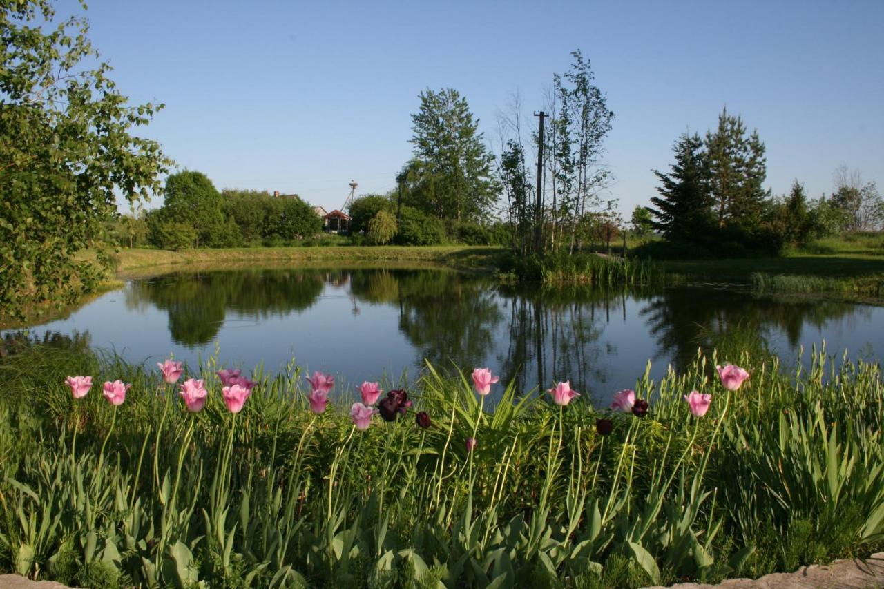 Dikisi Villa Daugavpils Ngoại thất bức ảnh