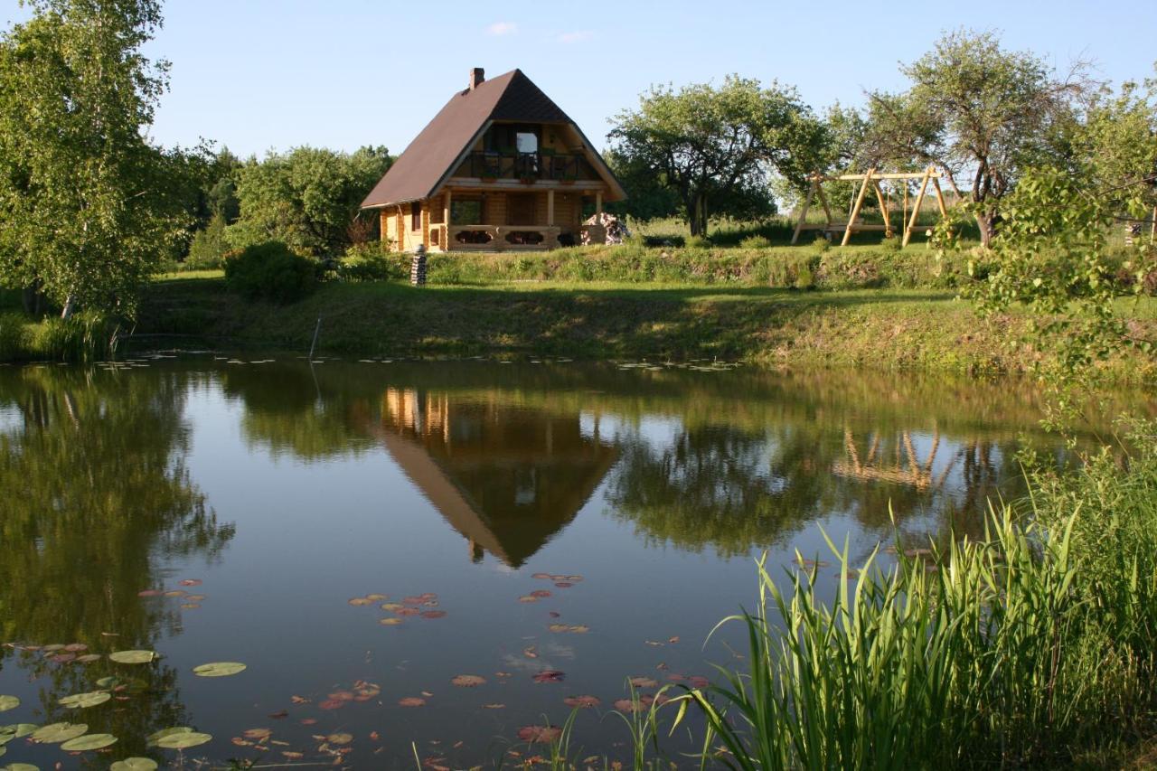 Dikisi Villa Daugavpils Ngoại thất bức ảnh