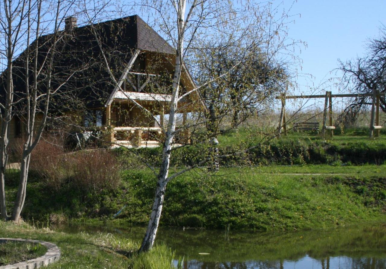 Dikisi Villa Daugavpils Ngoại thất bức ảnh