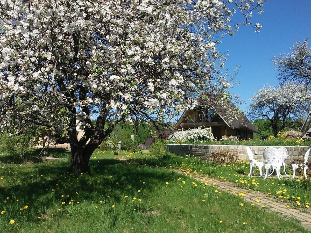 Dikisi Villa Daugavpils Ngoại thất bức ảnh