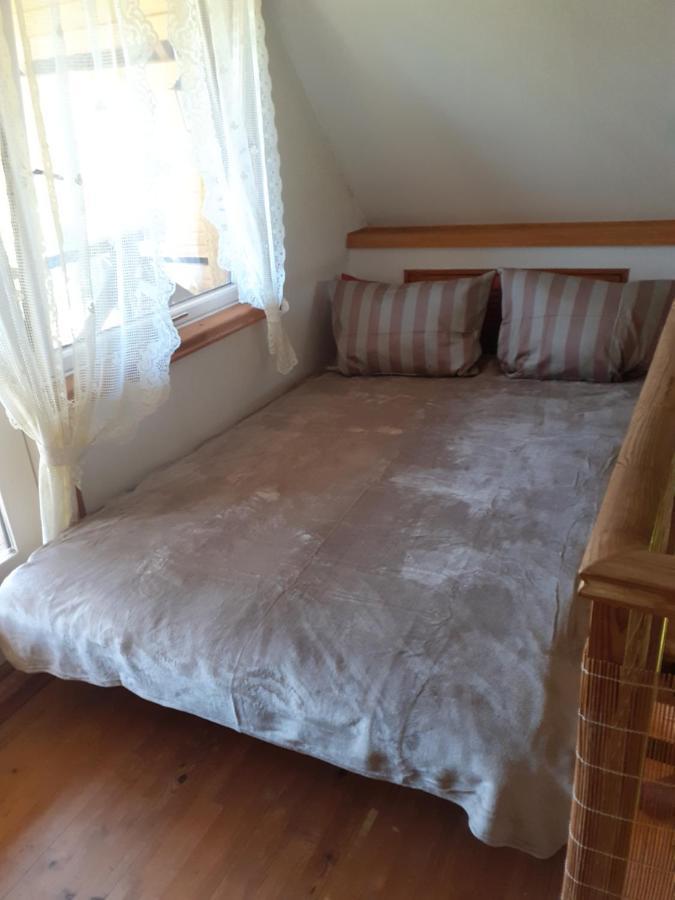 Dikisi Villa Daugavpils Ngoại thất bức ảnh
